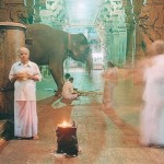 Peter Bialobreski's Journey into the Spiritual Heart of India